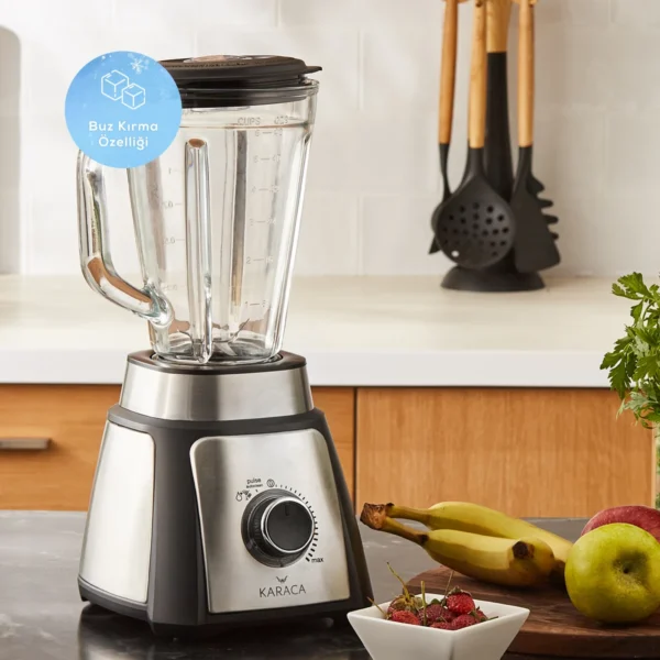 مخلوط کن 500 وات استیل مات شیکر کاراجا 153.01.06.5011 Rabima رابیما