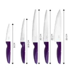 سرویس چاقو 6 پارچه بنفش رترو کاراجا 153.03.06.4761 Rabima رابیما