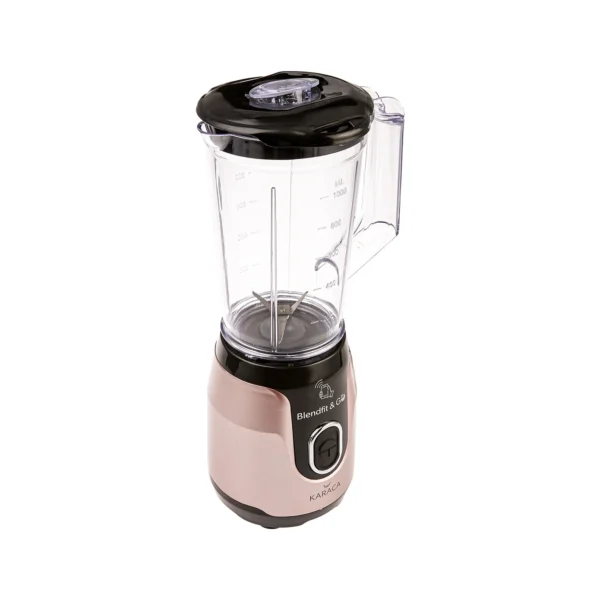 مخلوط کن 550 وات رزگلد بلندفیت گو کاراجا 153.03.06.6241