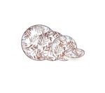 سرویس غذاخوری چینی 24 پارچه قهوه ای فوندو بامبوم B1730 Rabima رابیما