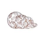 سرویس غذاخوری چینی 24 پارچه قهوه ای فوندو بامبوم B1730 Rabima رابیما