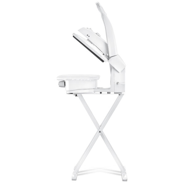 اتو پرس 2100 وات 46 كيلو گرم 1/5 ليتر نقره ای لئونارد رابیلوکس 110502